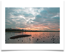 SUNSET AT MARTIN MERE - Jan Hodson
